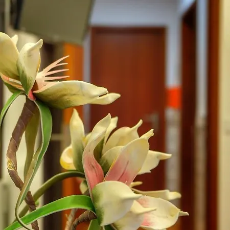 Guest house Vale Dos Encantos Furnas (Azores)