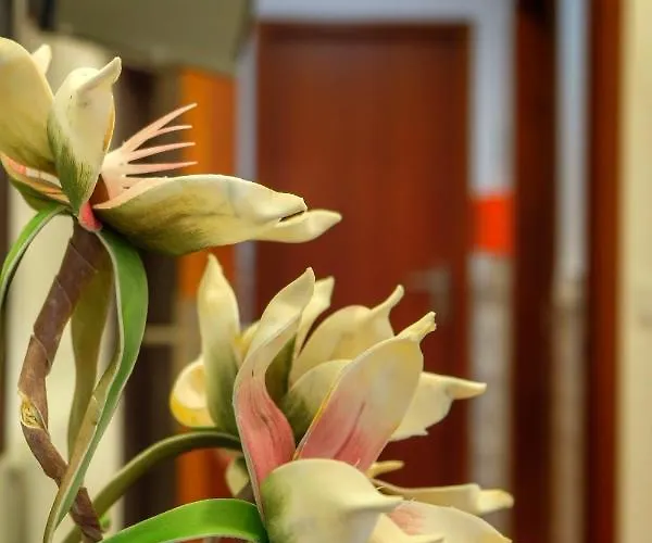 招待所 Vale Dos Encantos 富尔纳斯